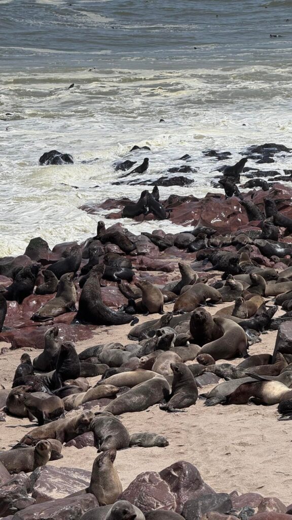 Namibia — Damaraland, chłodny ocean i Wybrzeże Szkieletów.