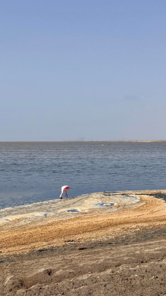 Namibia — Sandwich Harbour: zachwyt, piach i lekcja pokory.