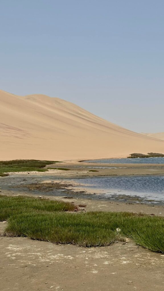 Namibia — Sandwich Harbour: zachwyt, piach i lekcja pokory.