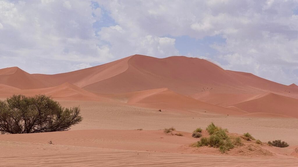 Namibia — Deadvlei: piękne zdjęcie kontra pustynny upał.