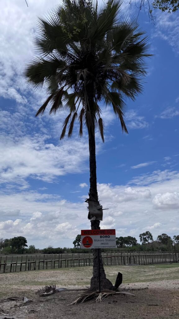 Botswana — Maun i wyprawa, która nie doszła do skutku.