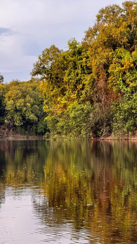 Brazylia — Amazonia: dwanaście godzin na Rio Negro.