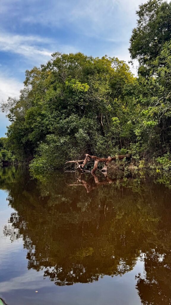 Brazylia — Amazonia: dwanaście godzin na Rio Negro.