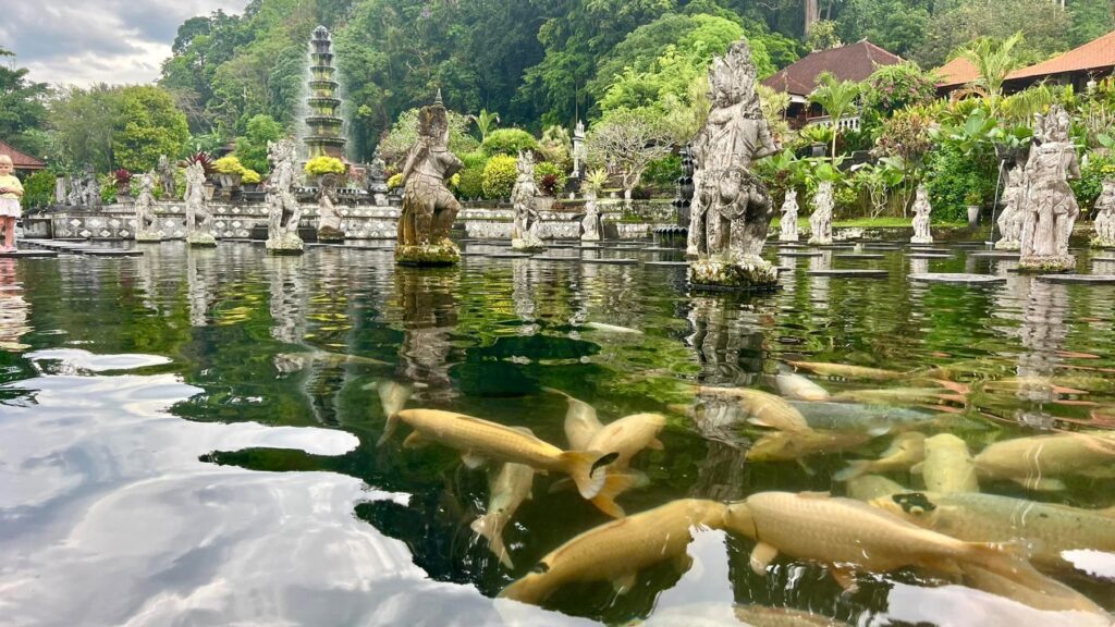 Indonezja — Wschód wyspy: ogrody w deszczu i zachód przy bramie.