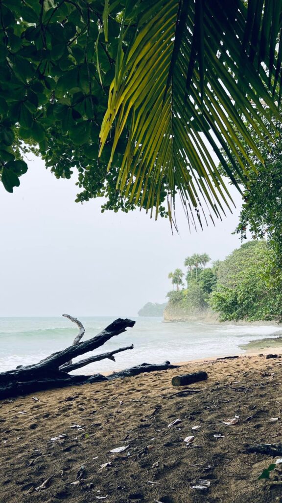 Kostaryka — Karaiby: Manzanillo, ary i zwierzęcy azyl.