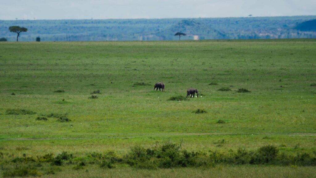 Kenia — Masai Mara: najpierw trzeba było tam dojechać.