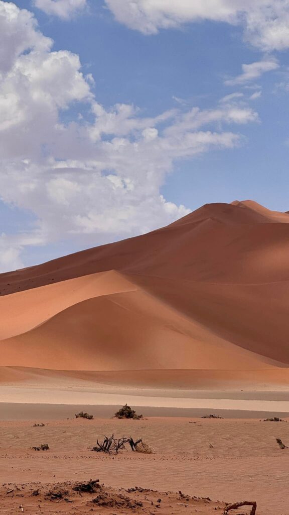 Pustynny krajobraz w okolicy Sossusvlei.