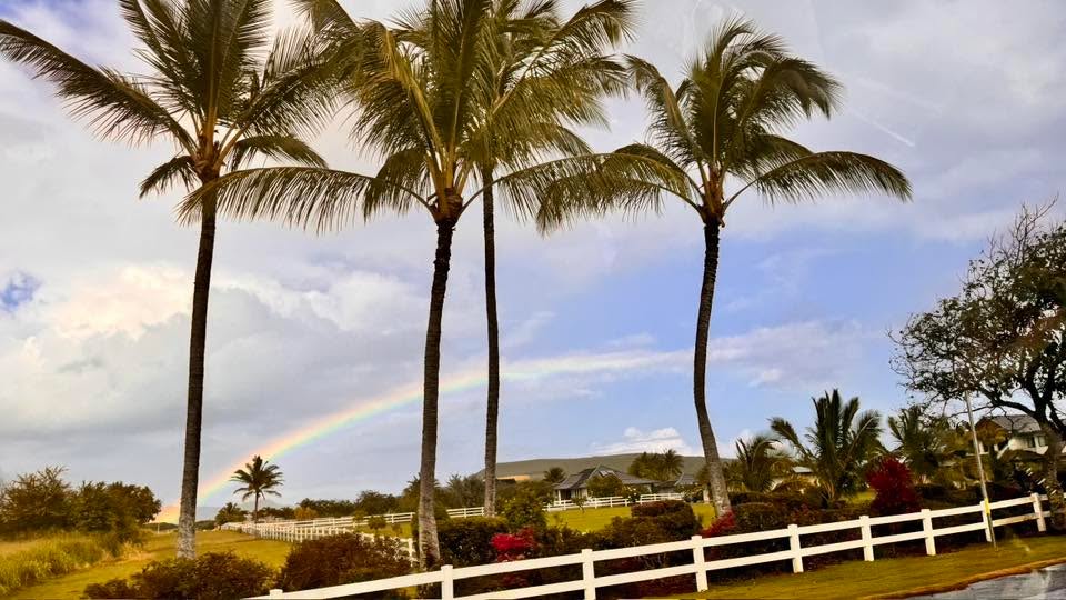 Palmy i tęcza na Kauai.